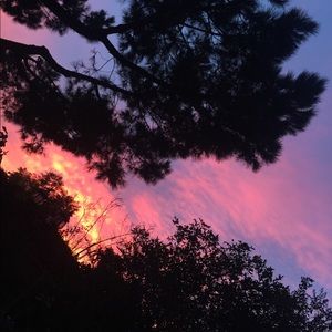 Meet your Posher, Cristal